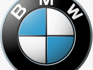 BMW Programming-Coding