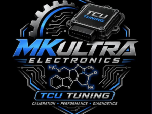 Custom EGS52 TCU Tunes-File Service-Custom Files